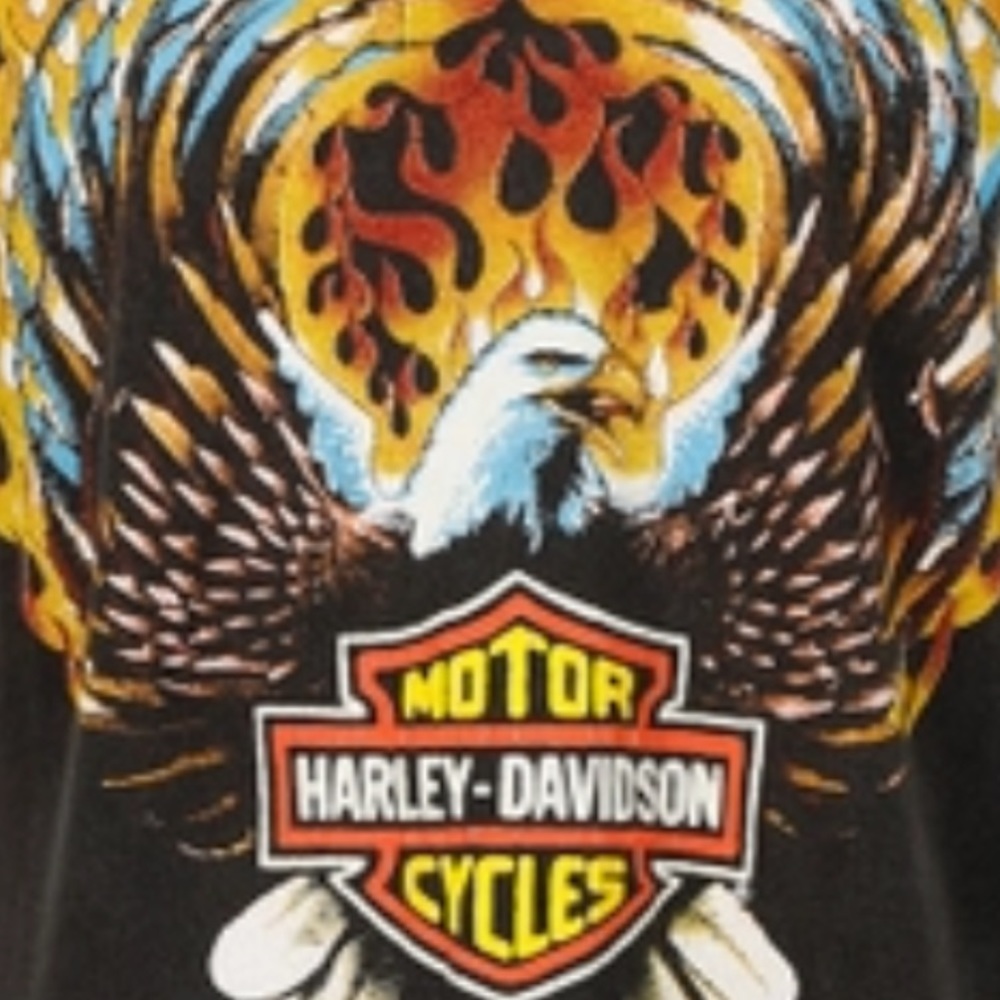 🔥 12/8 🏍️ Harley Show Listing!🦩
